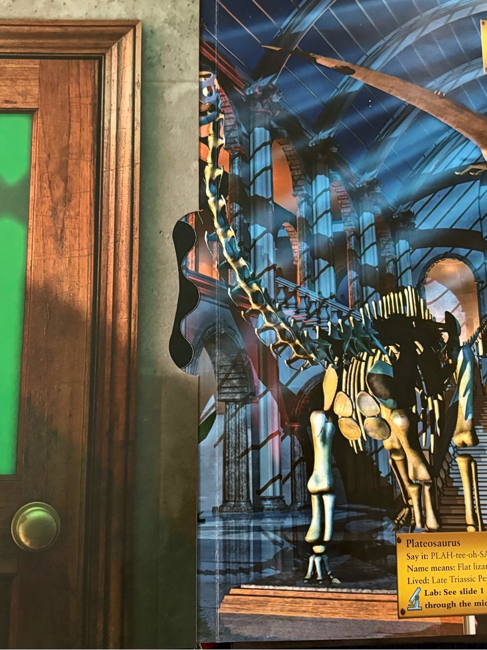 The Dinosaur Museum National Geographic Book - Picture 3 of 5
